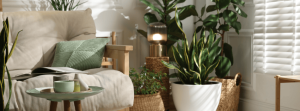 Bank en planten in huiskamer